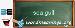 WordMeaning blackboard for sea gull